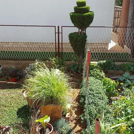 Apartament Mico